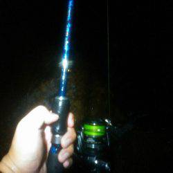 雨の中のエギング